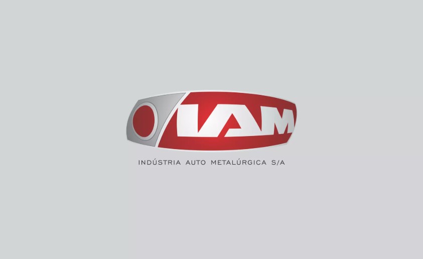 Logo IAM